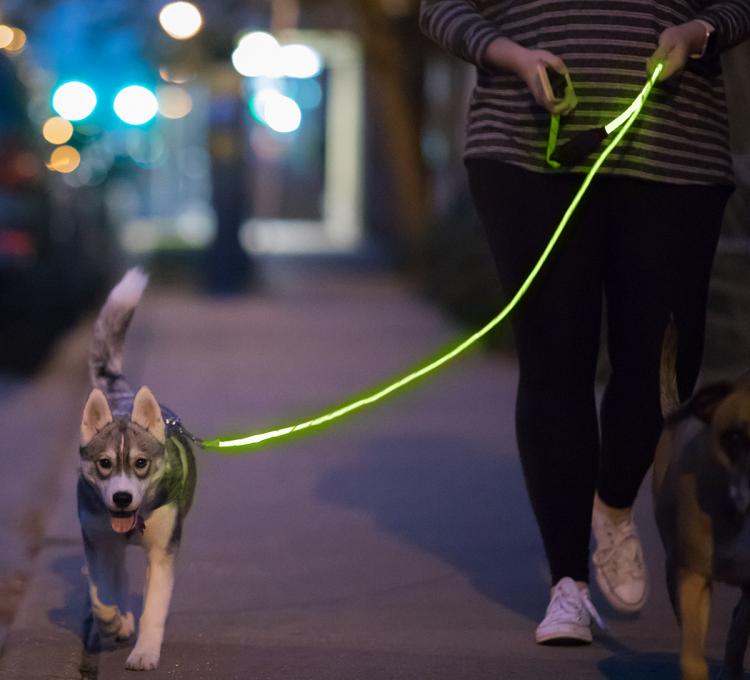 Nitey Leash LED Light Up Dog Leash Gets You Easily Seen