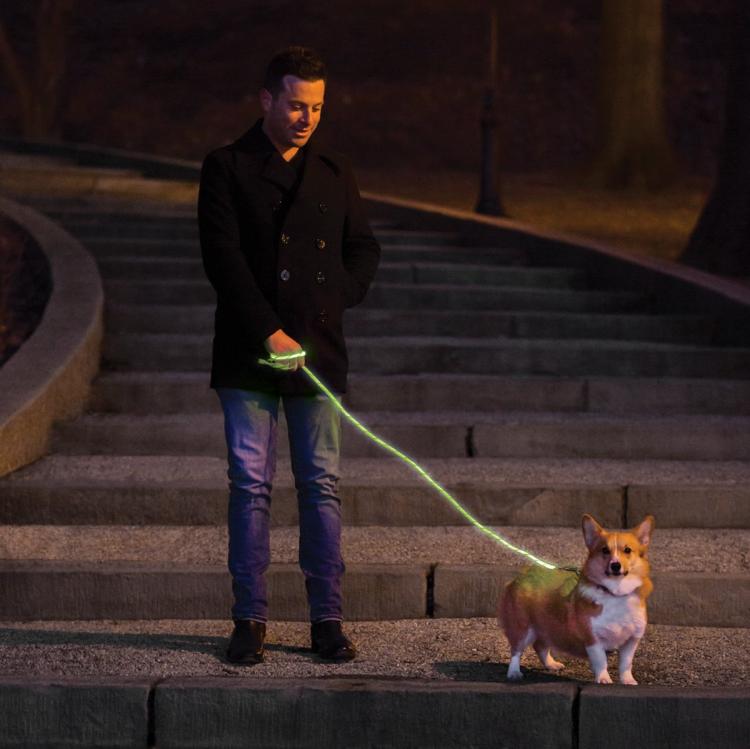 Nitey Leash LED Light Up Dog Leash Gets You Easily Seen During Night Walks