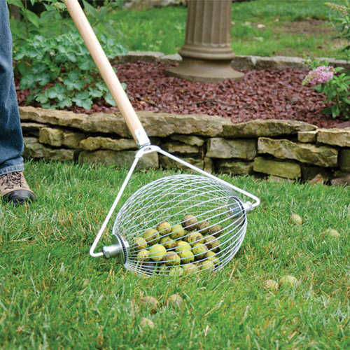 Nut Wizard A Rolling Barrel To Collect Nuts, Golf Balls, Sweet Gum
