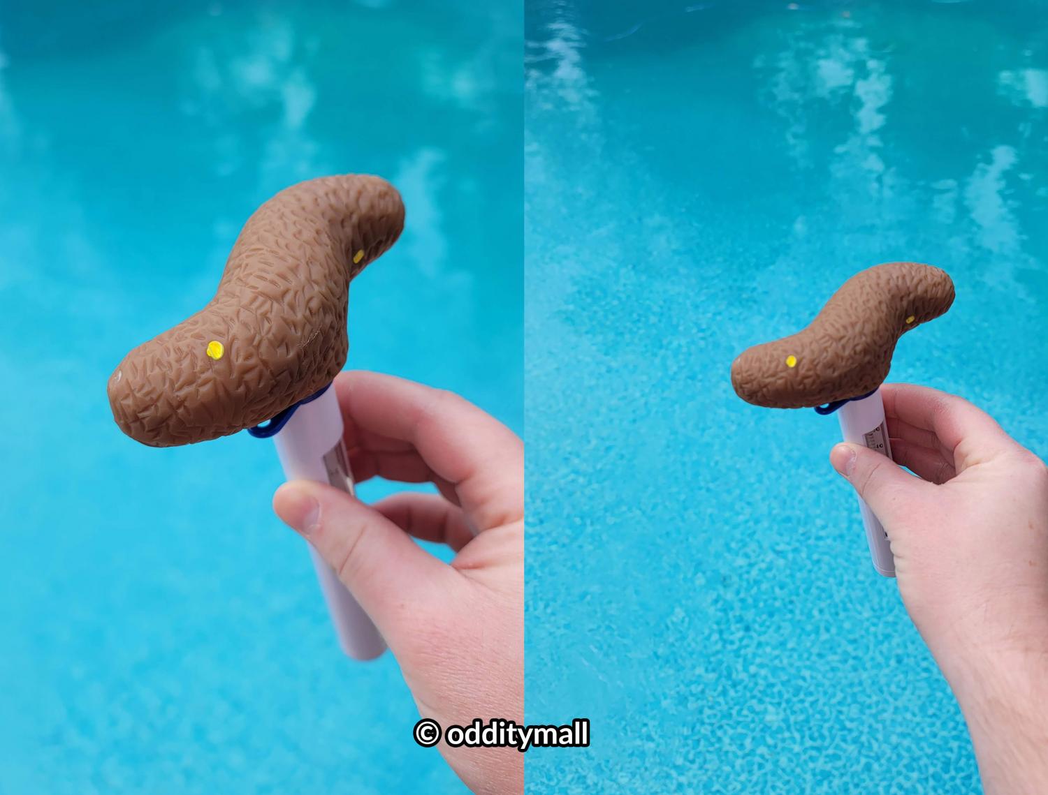 This Pool Thermometer Looks Like a Floating Poo