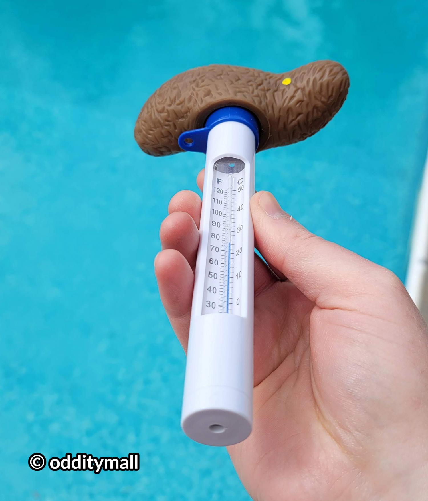 This Pool Thermometer Looks Like a Floating Poo
