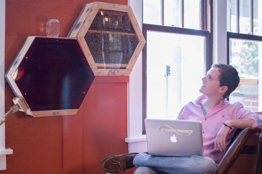 This Indoor Beehive Connects To Any Window With a Tube, Offers