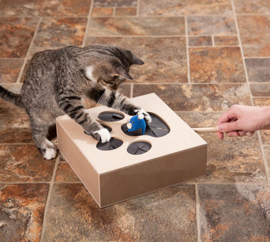 This WhackAMouse Cat Toy Will Keep Your Kitties Entertained For Hours