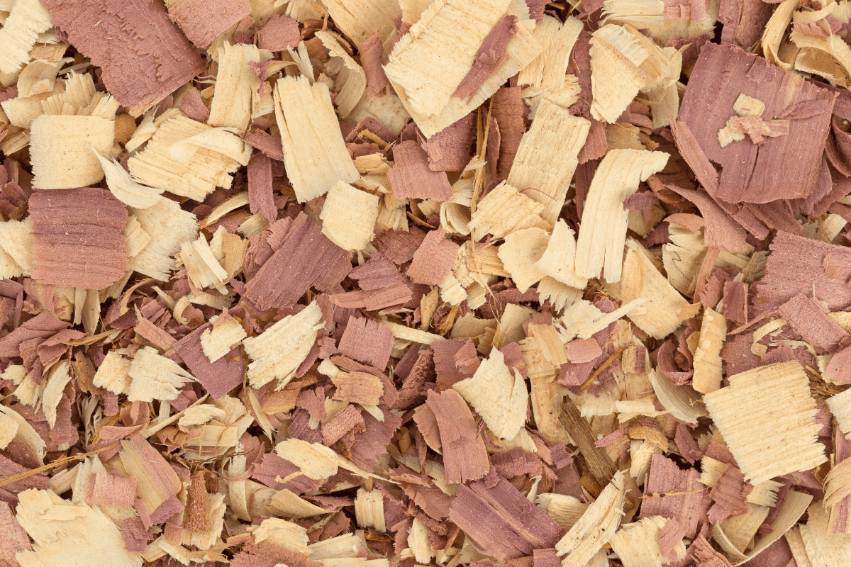 6 Guinea Pig Bedding Alternatives Already In Your Home