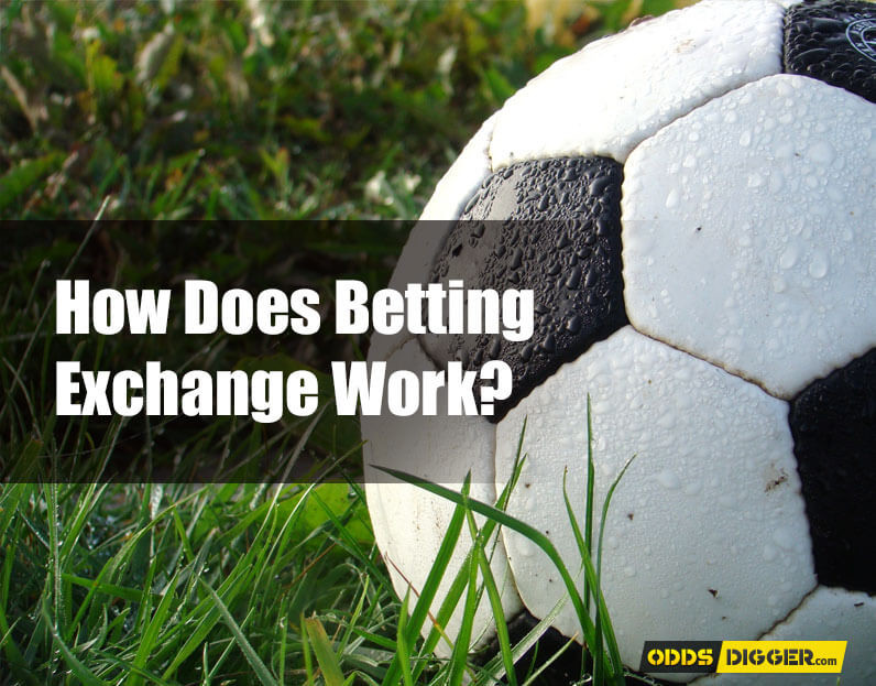 Betting Exchange Guide for Dummies Betting Exchange Explained