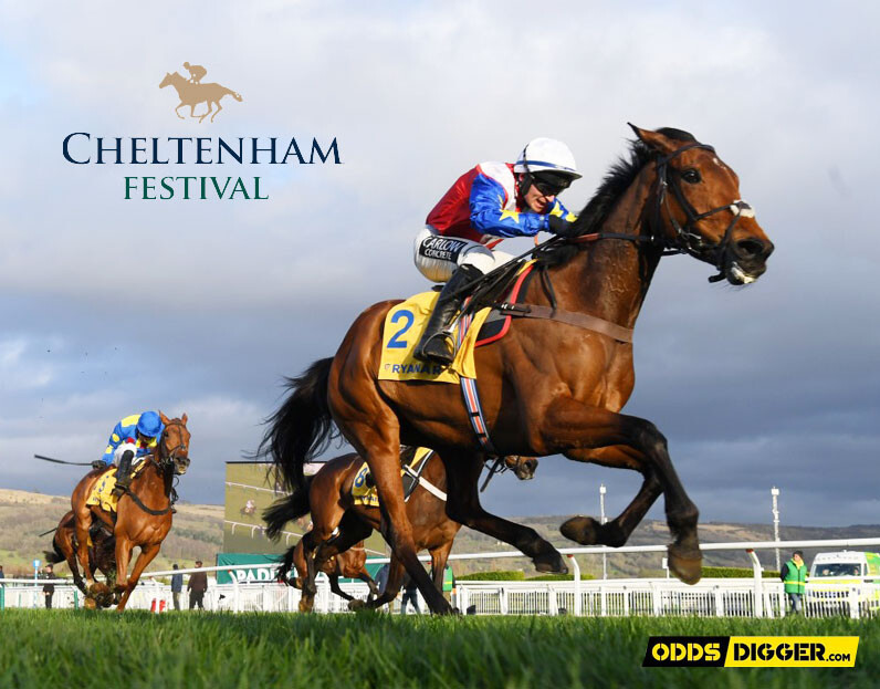 Betting Tips For the Cheltenham Festival 2023 OddsDigger United Kingdom