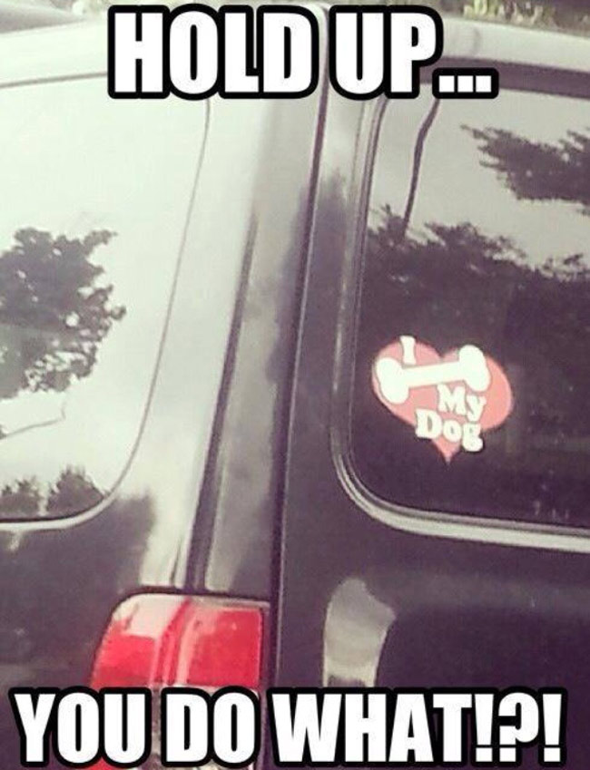 Funny Pictures July 13, 2015