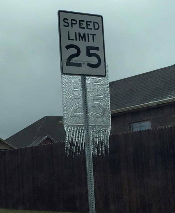 Funny Pictures November 30, 2015