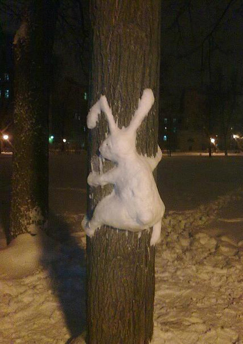 Funny Pictures December 15, 2015