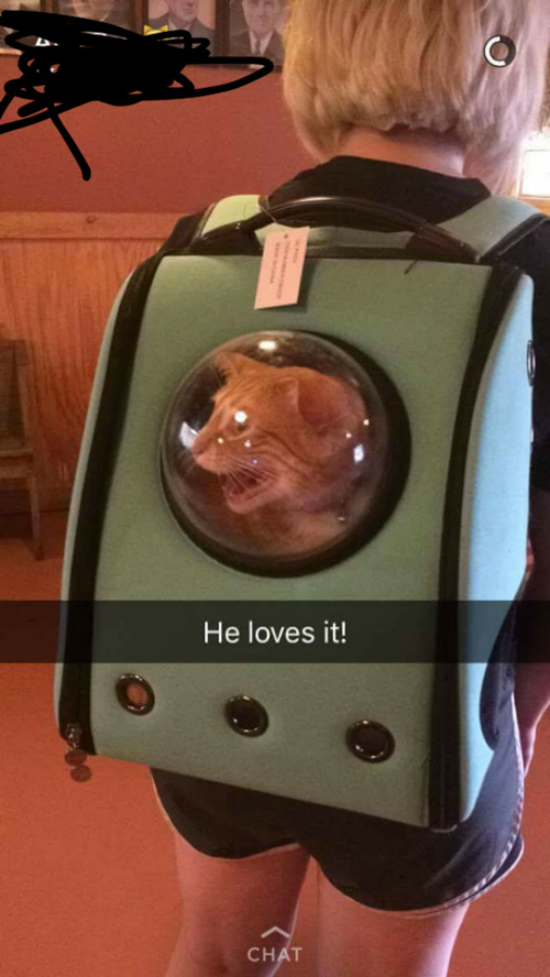 Funny Pictures July 23, 2016