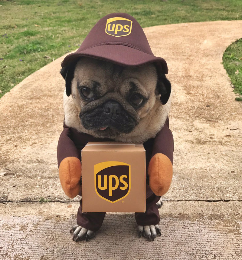 United Pug Service