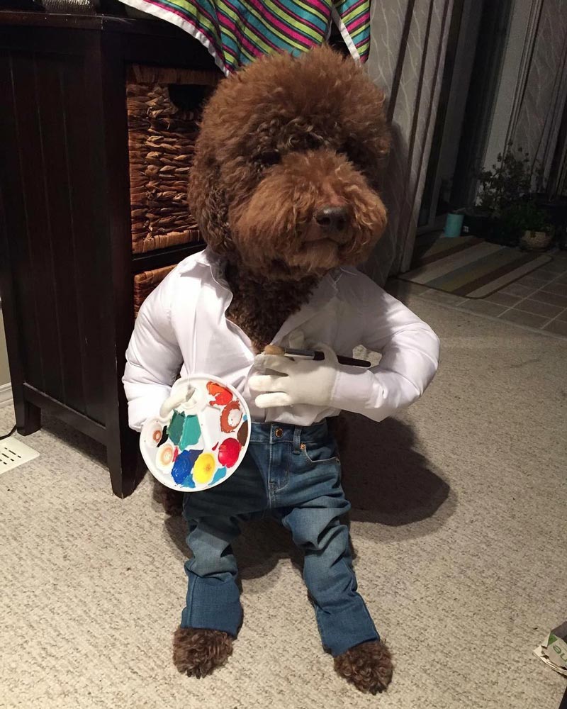 Dog Ross Odd Stuff Magazine