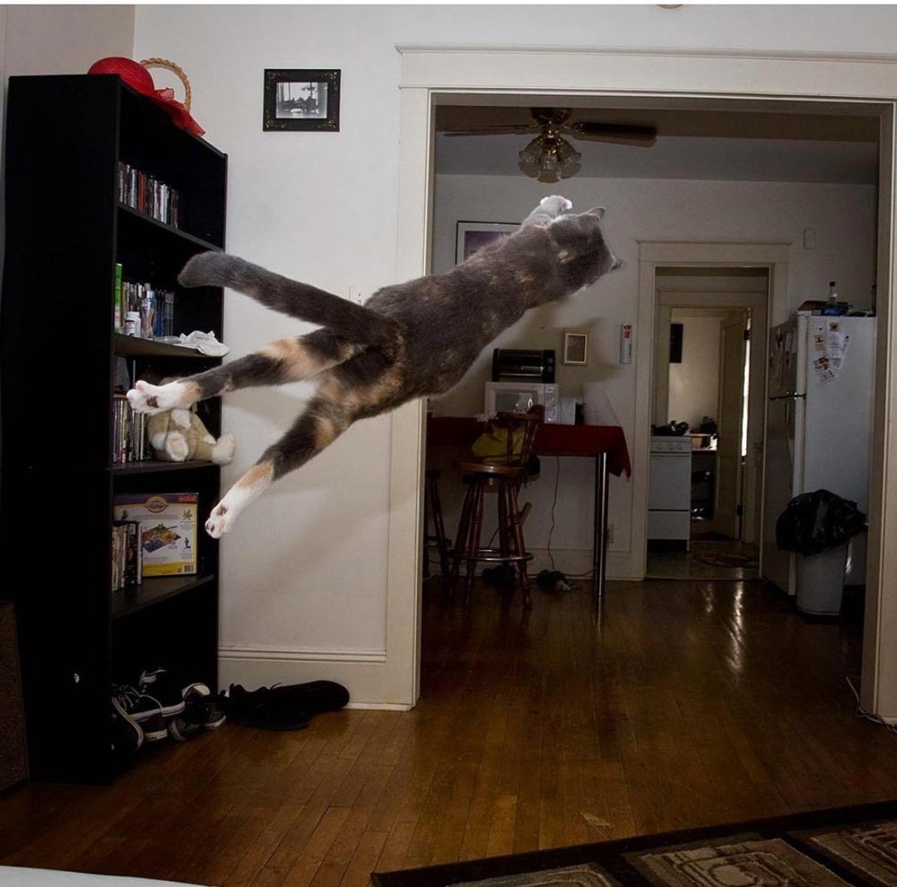 Gooooooooooooooaaaaaaaaaaaaaalllllllllllllll Odd Stuff Magazine