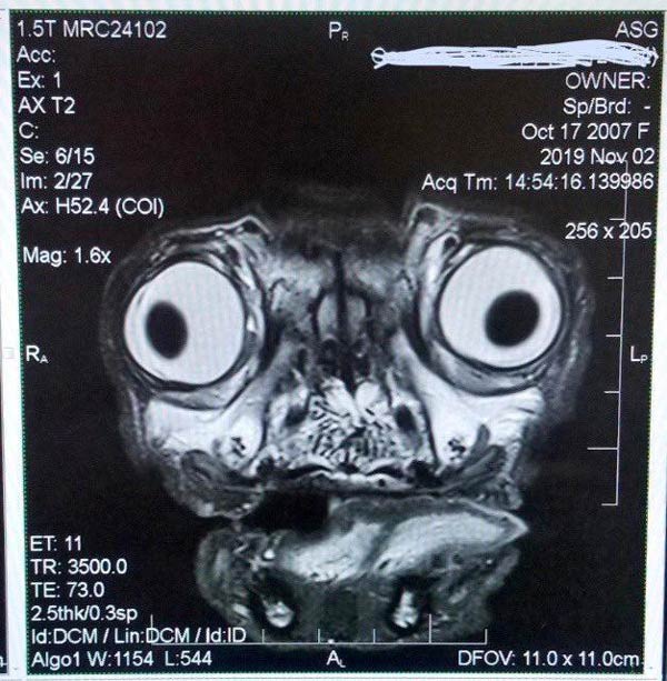 Funny Pictures December 18, 2019