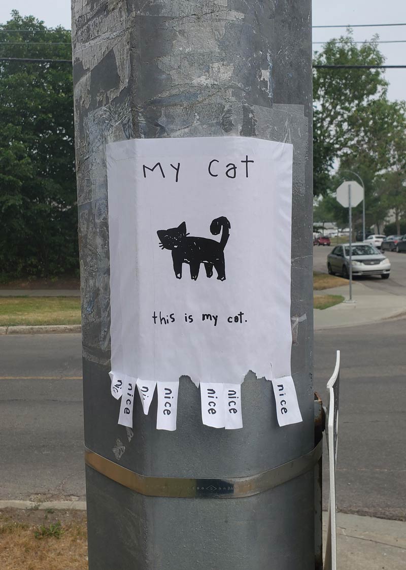 A poster depicting someone’s cat. Not a lost cat, just their