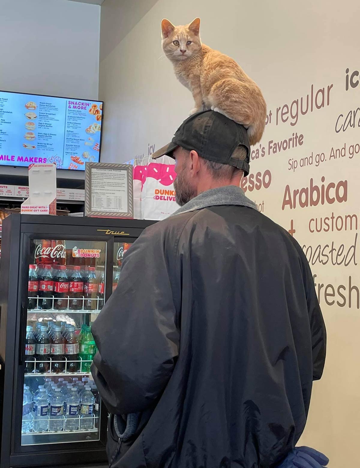 Cap cat Odd Stuff Magazine