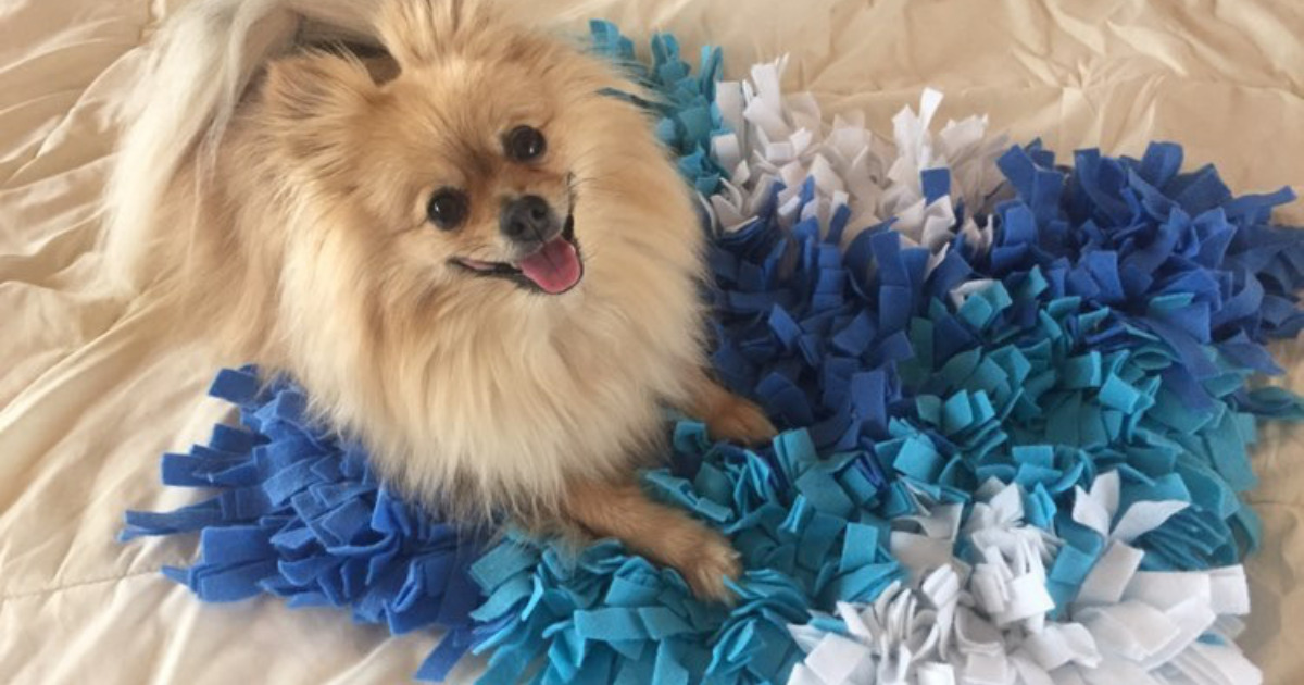 Amazon.co.jp: 動くぬいぐるみ 犬 動くおもちゃ 鳴く 犬のぬいぐるみ かわいい よびかけアクション愛犬モカちゃん 6C181 : おもちゃ 犬の知育玩具を簡単に手作りしよう！フォロワーさんが作った10種類を写真付きで紹介｜ペットボトルや百均などで揃う材料でおうち時間を楽しく♪ – おでかけわんこ部 | 愛犬とのおでかけスポット（カフェ・宿）を紹介