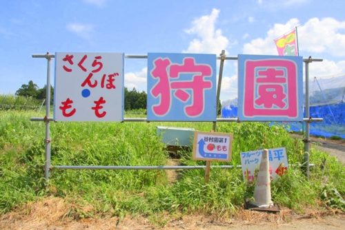 谷村農園 おでかけぶろぐ