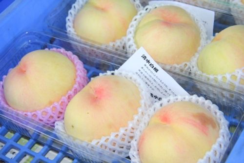 谷村農園 おでかけぶろぐ