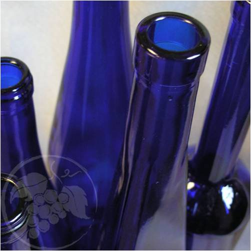 Ode to Wellbeing fully engaging in the beauty of life