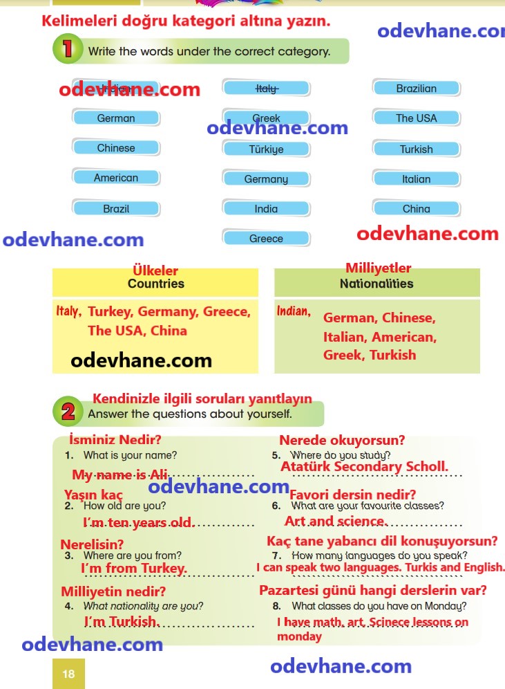 5. Sınıf İngilizce Ders Kitabı Sayfa 18 Cevapları ve Türkçe Çevirileri