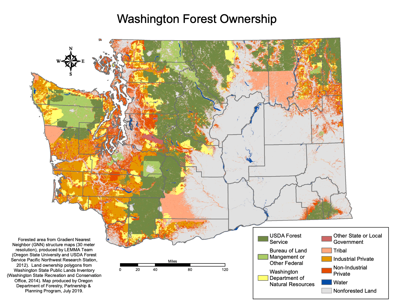 Who Owns the Forest The Promise of Mass Timber