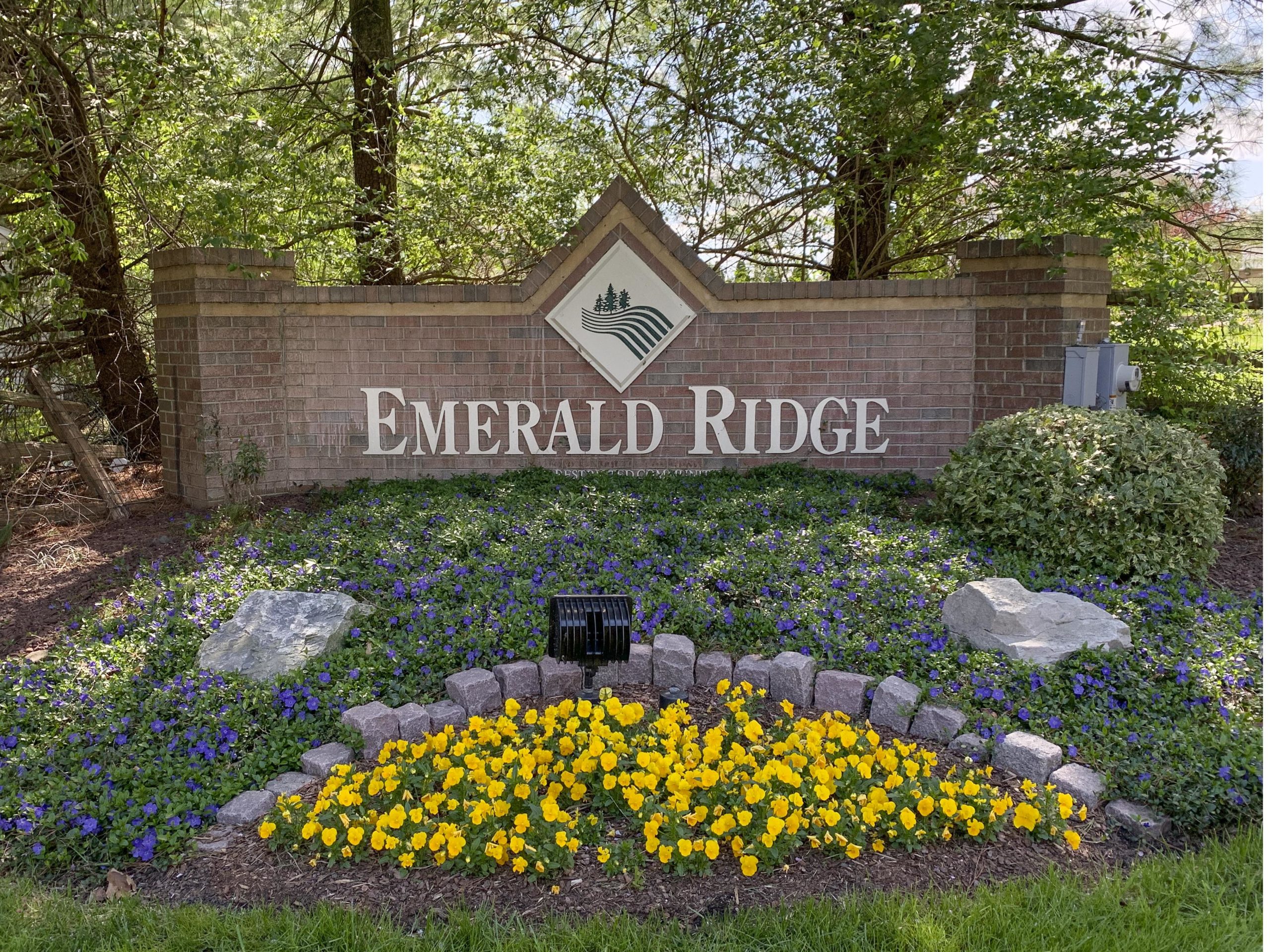 Emerald Ridge Homes for Sale Team O'Donnell