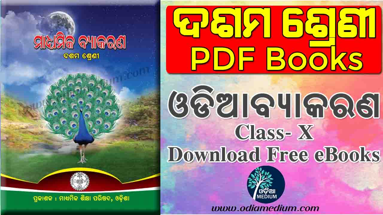 Odia Grammar Book Class 10th Odia Medium