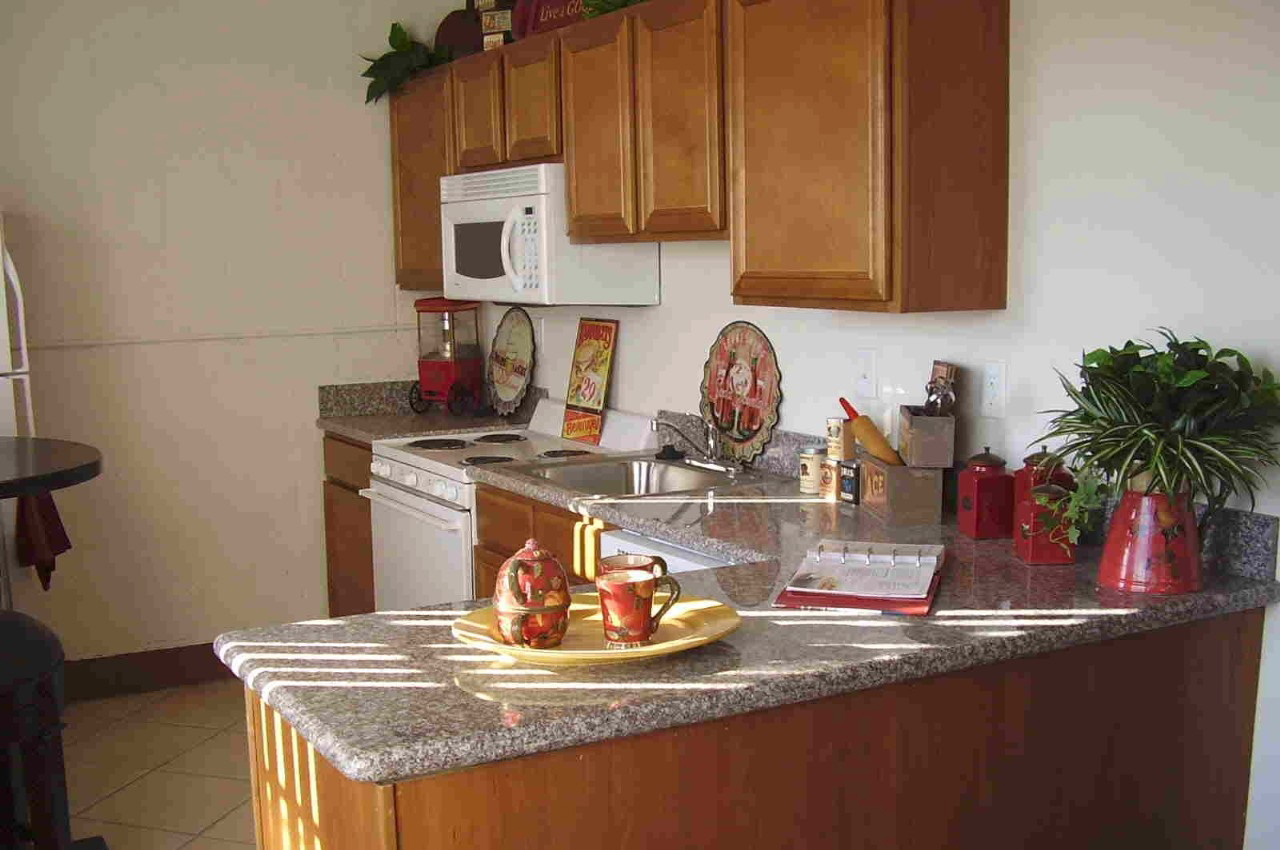 Collins Terrace Odin Properties