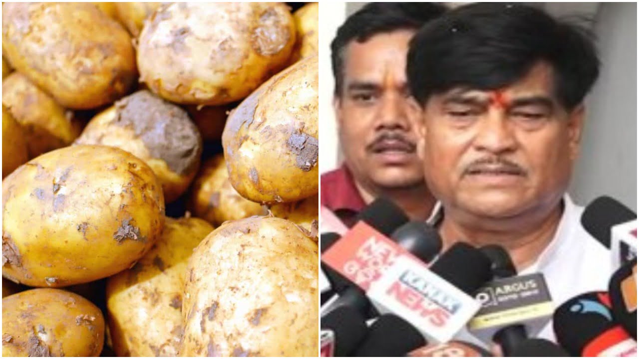 Potato Price Shoots Up In Odisha odishabytes