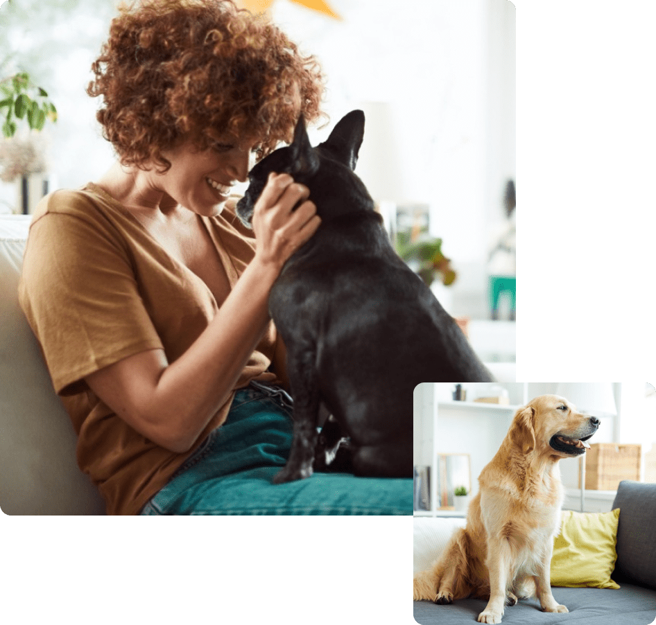 Odors Away Odor Eliminator Odors Away