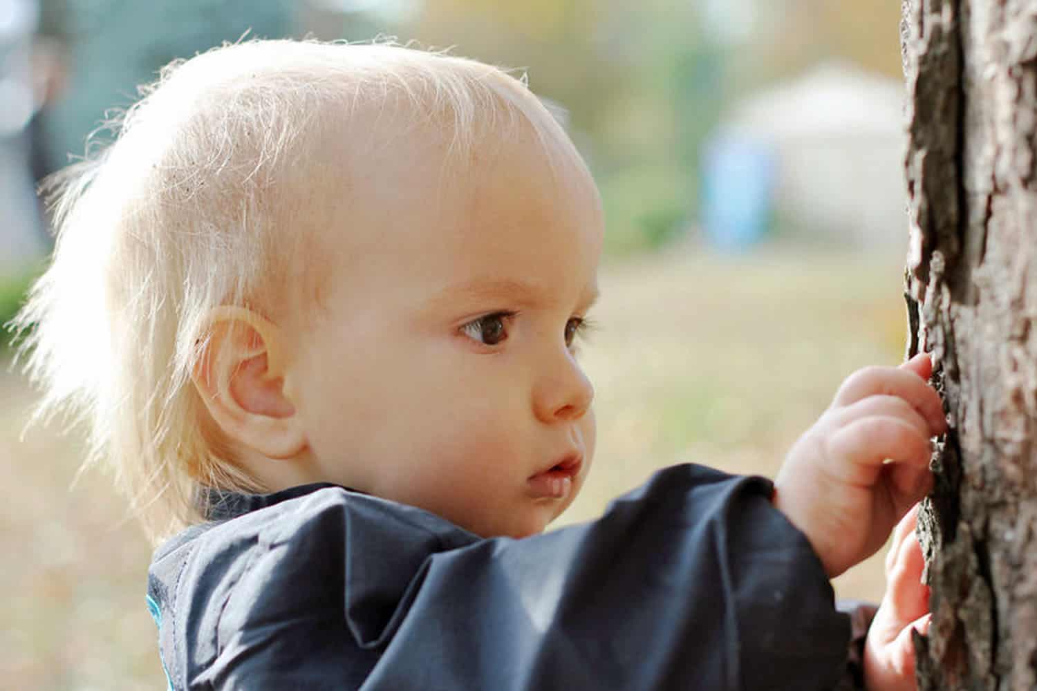 What is Early Childhood Education?