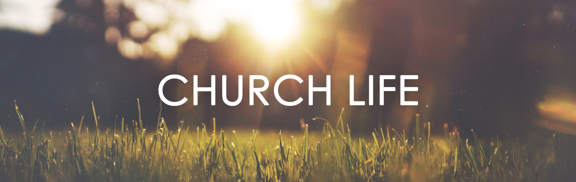 Church Life Oadby Evangelical Free Church