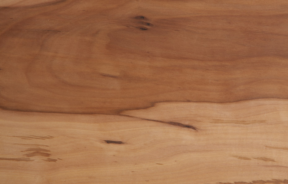 Der Apfelbaum – Alles Wissenswerte Vom Baum Bis Zum Holz
