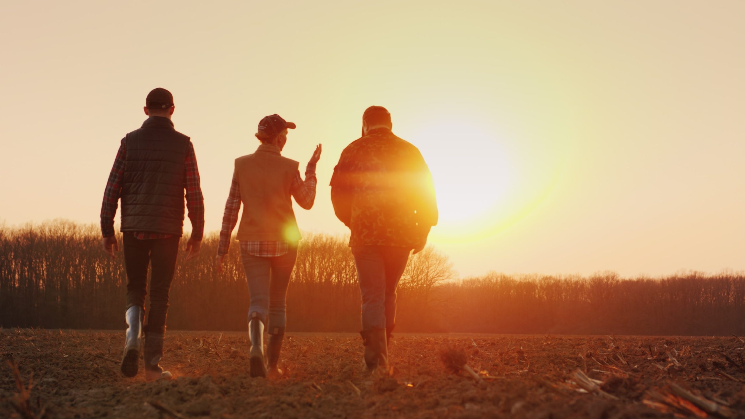 Three farmers go ahead on a plowed field at sunset. Young team of