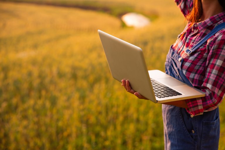 Female farmer using laptop computer in gold wheat crop field, concept
