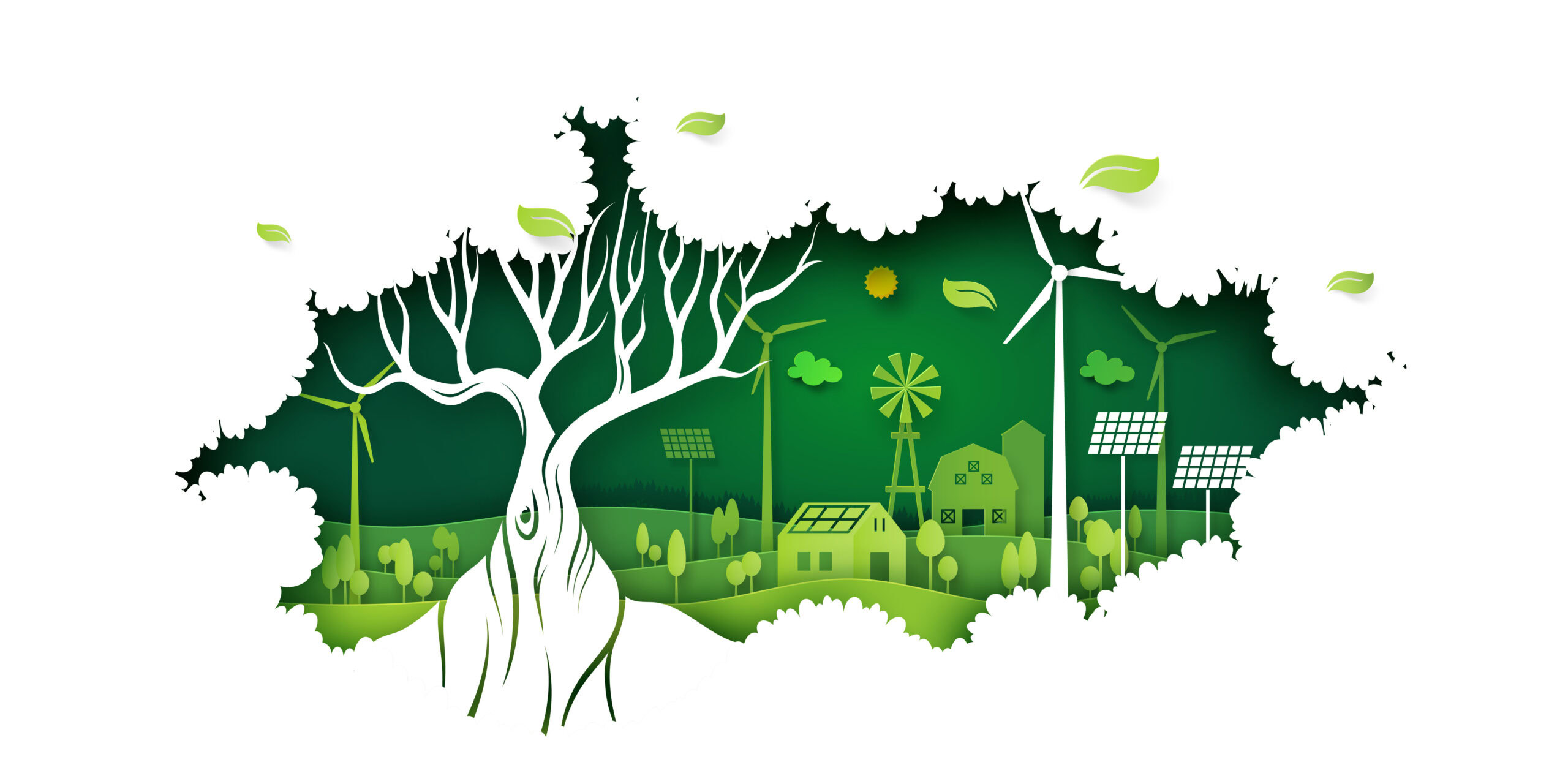 OFA submission to the Ontario Ministry of Natural Resources and