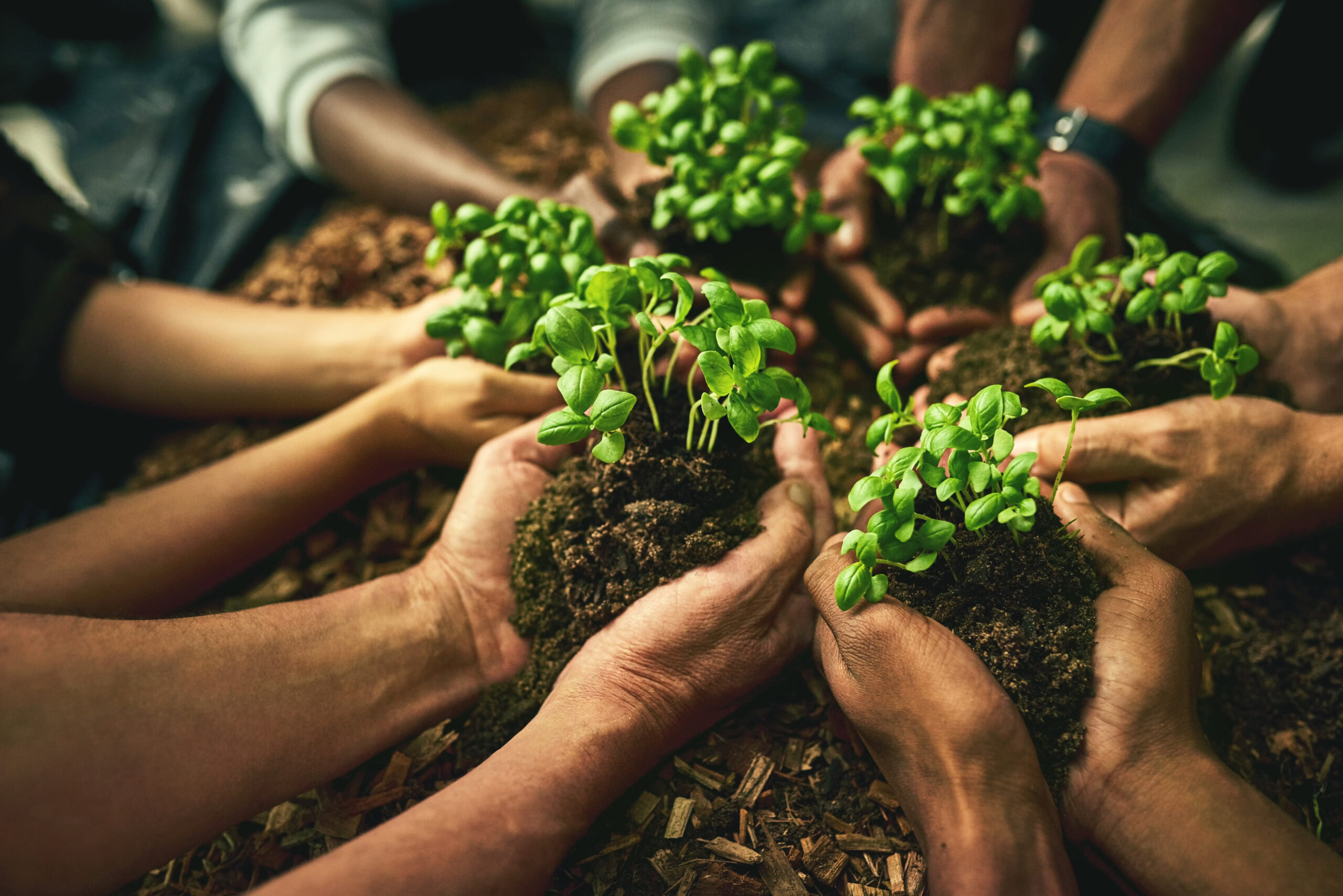 A diverse group of sustainable people holding plants in an eco friendly