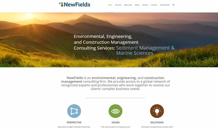 NewFields OFarrell Group  Development