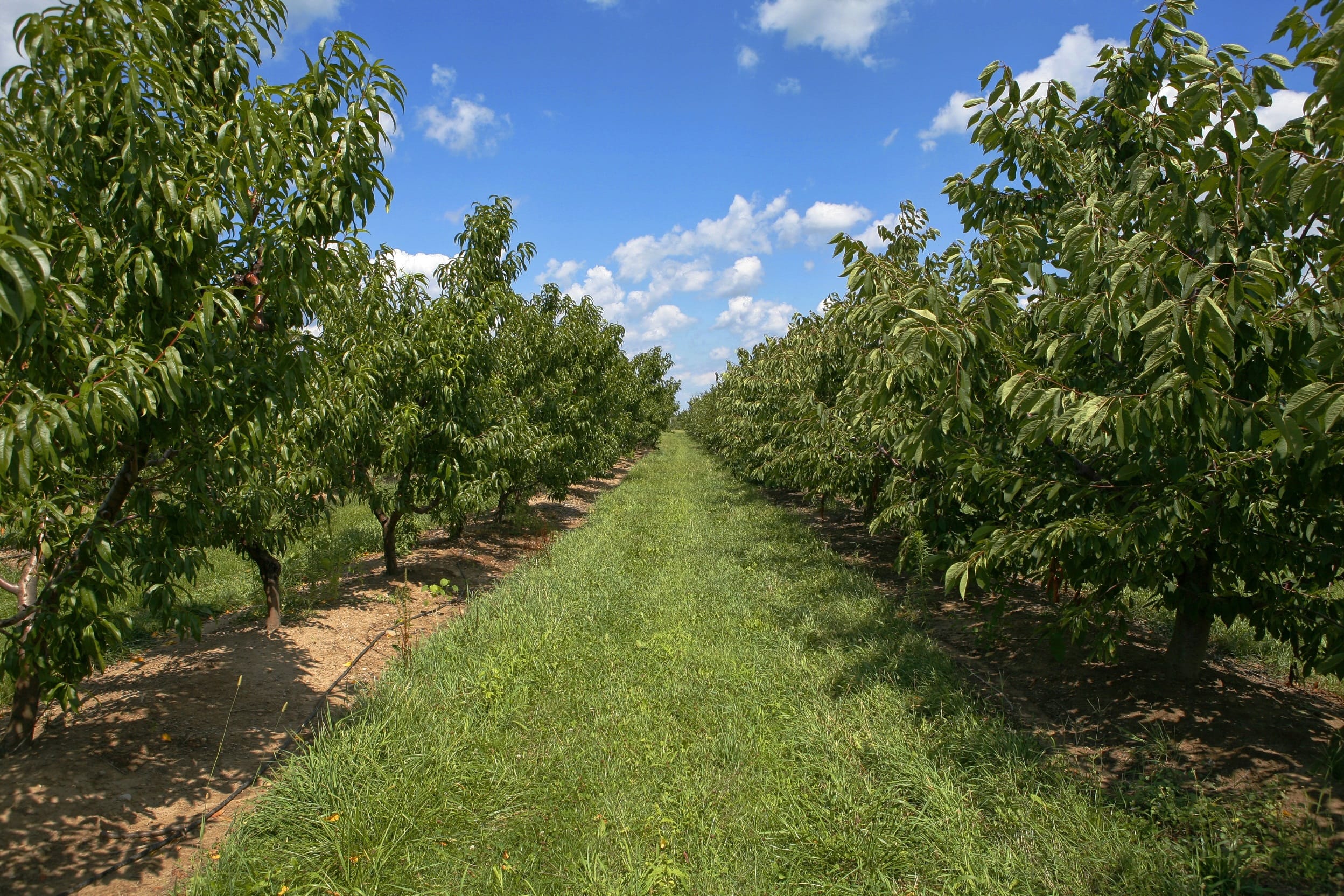 Erie County Farm Bureau