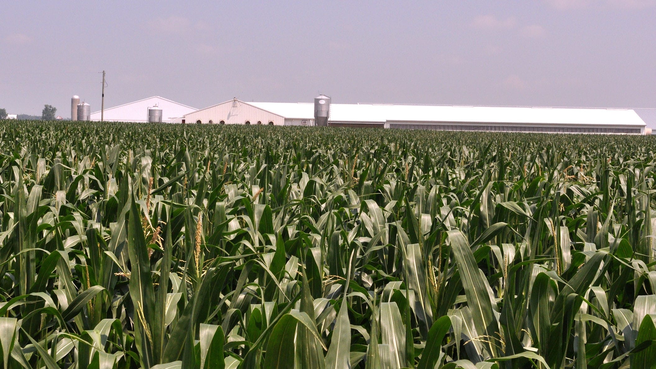 Mercer County Farm Bureau