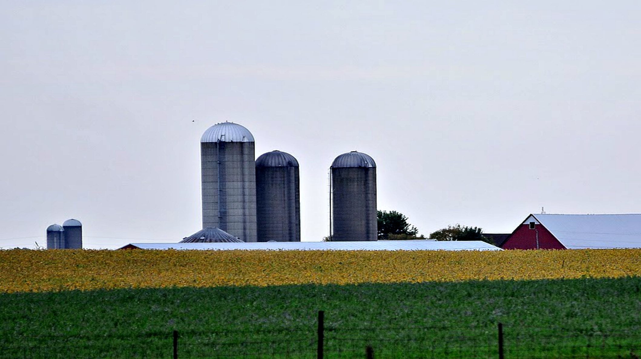 Help Us Shape Delaware Agriculture Ohio Farm Bureau