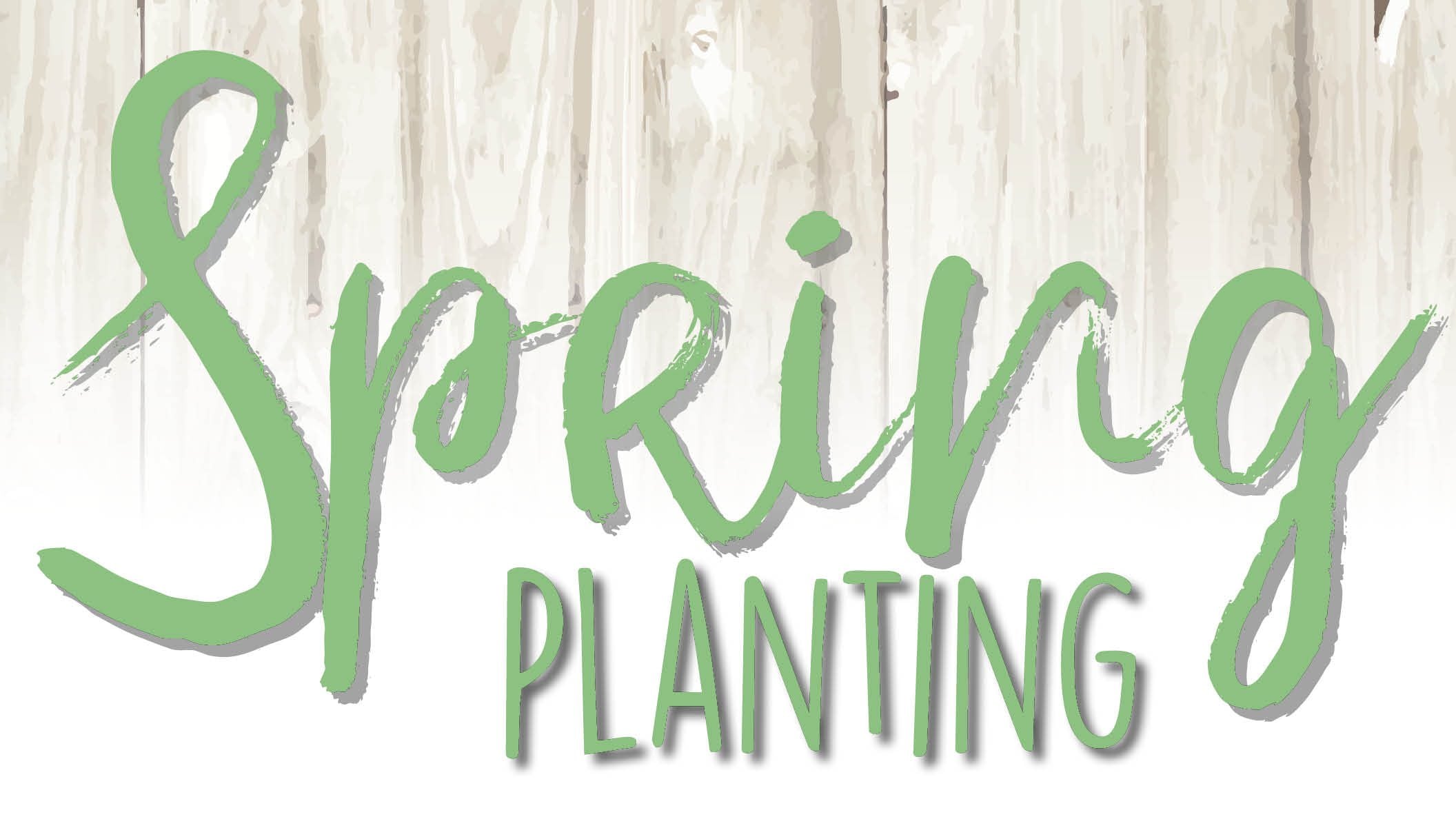 Sow what? Helpful tips on when to start planting seeds in Ohio for the