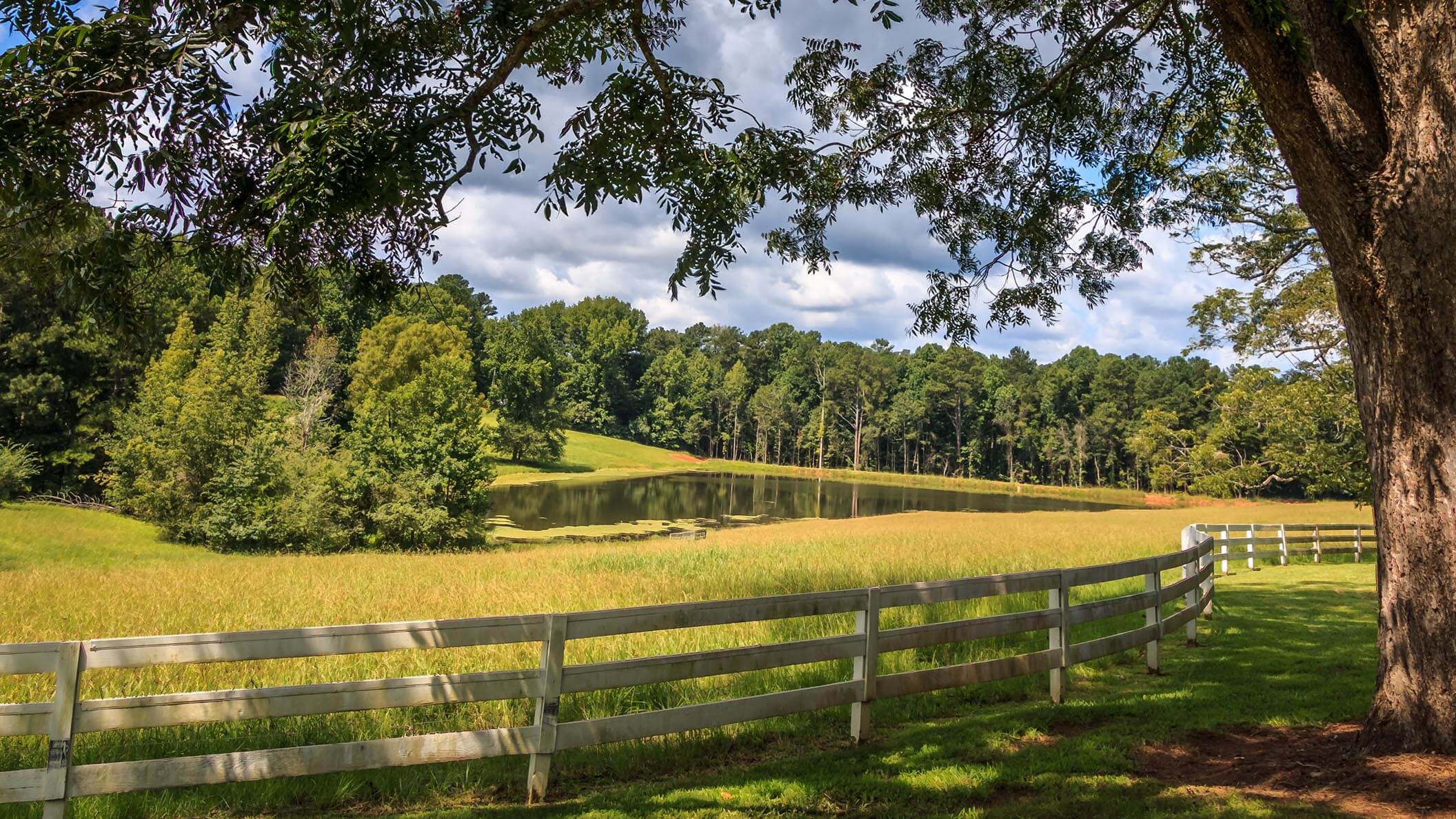 Legal with Leah Understanding Line Fence Law Ohio Farm Bureau