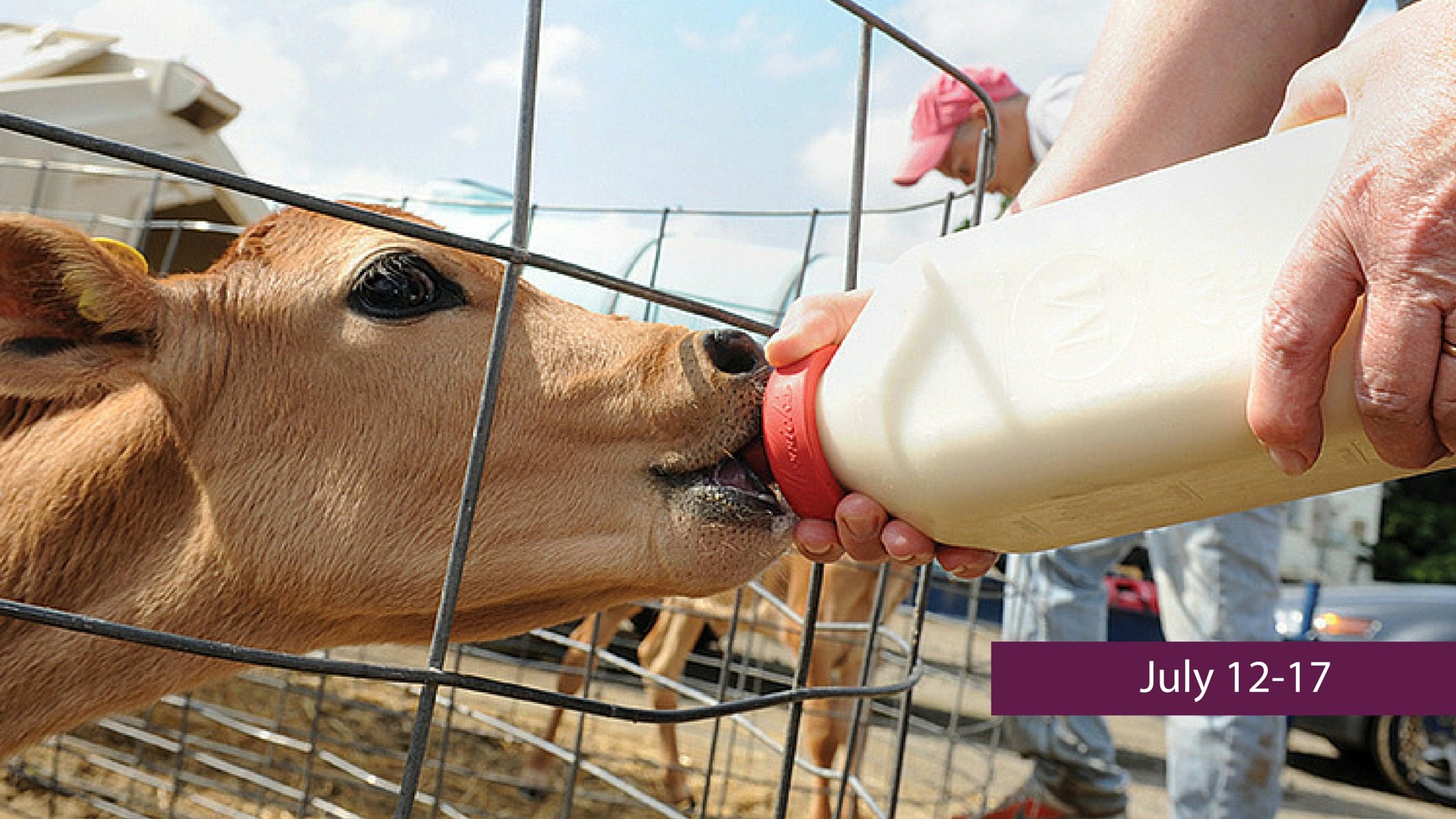 Lucas County Fair Ag on Display Barn Ohio Farm Bureau