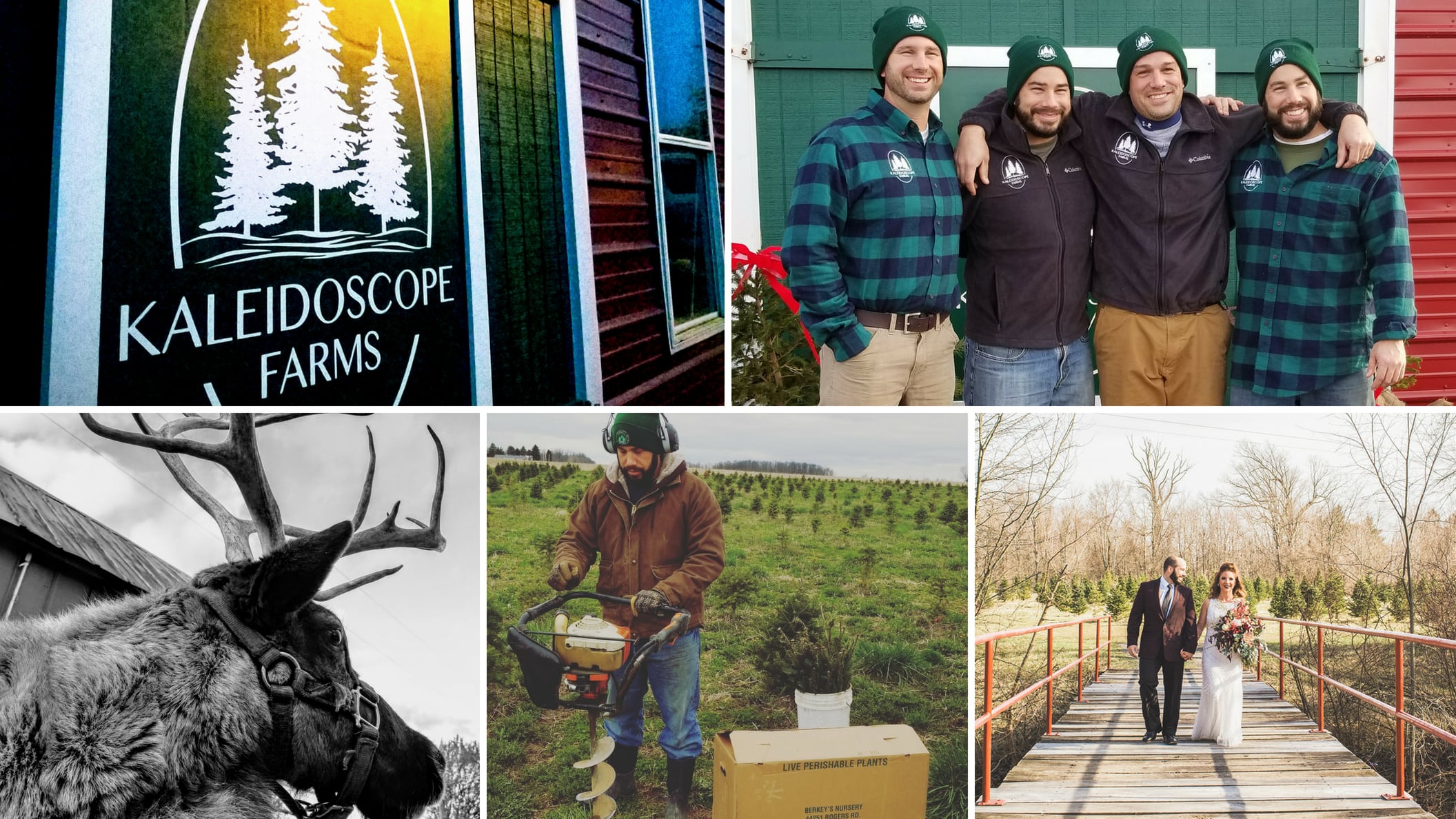 TakeOverTuesday Kaleidoscope Farms, Hancock County Ohio Farm Bureau