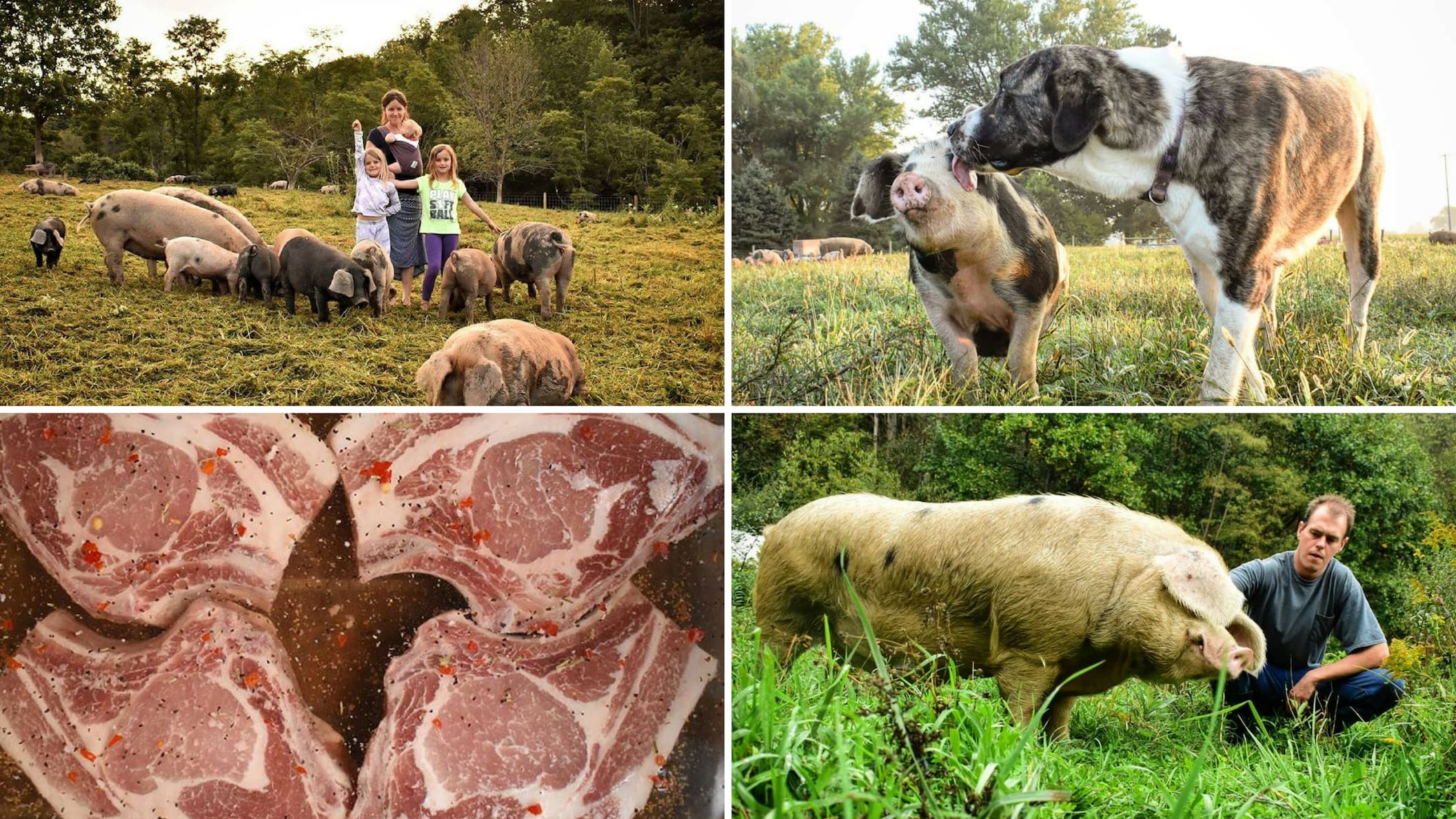 TakeOverTuesday Six Buckets Farm, Tuscarawas County Ohio Farm Bureau