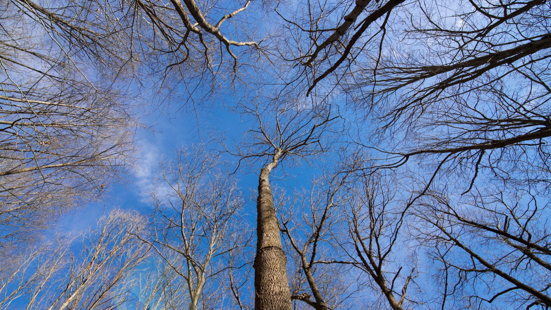 Dispelling the myth The hidden dangers of rural roads Ohio Farm Bureau