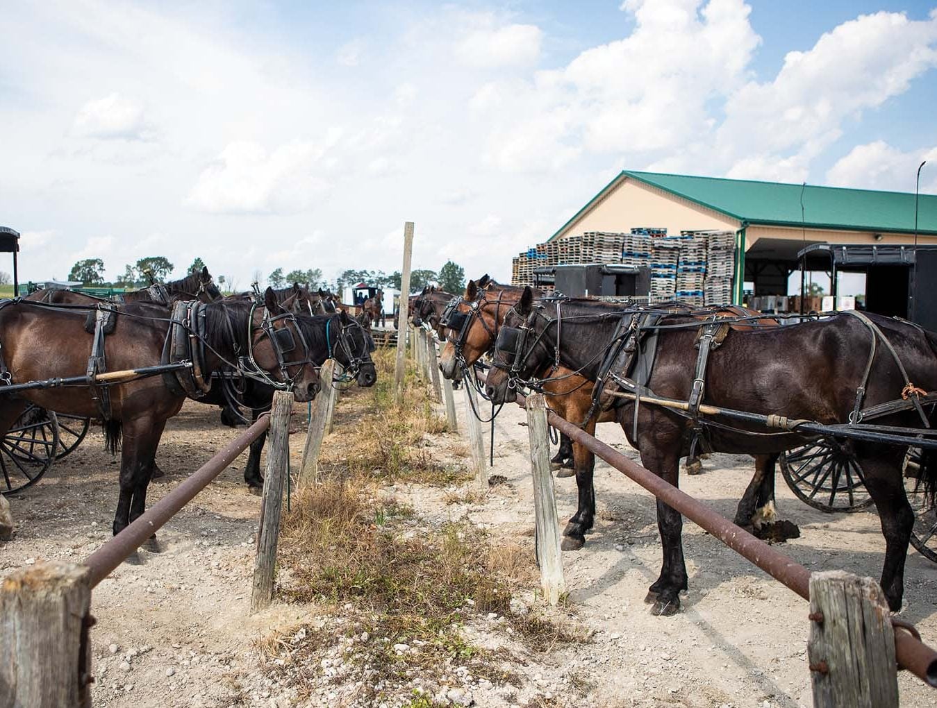 All about community at County Line Produce Auction Ohio Farm Bureau