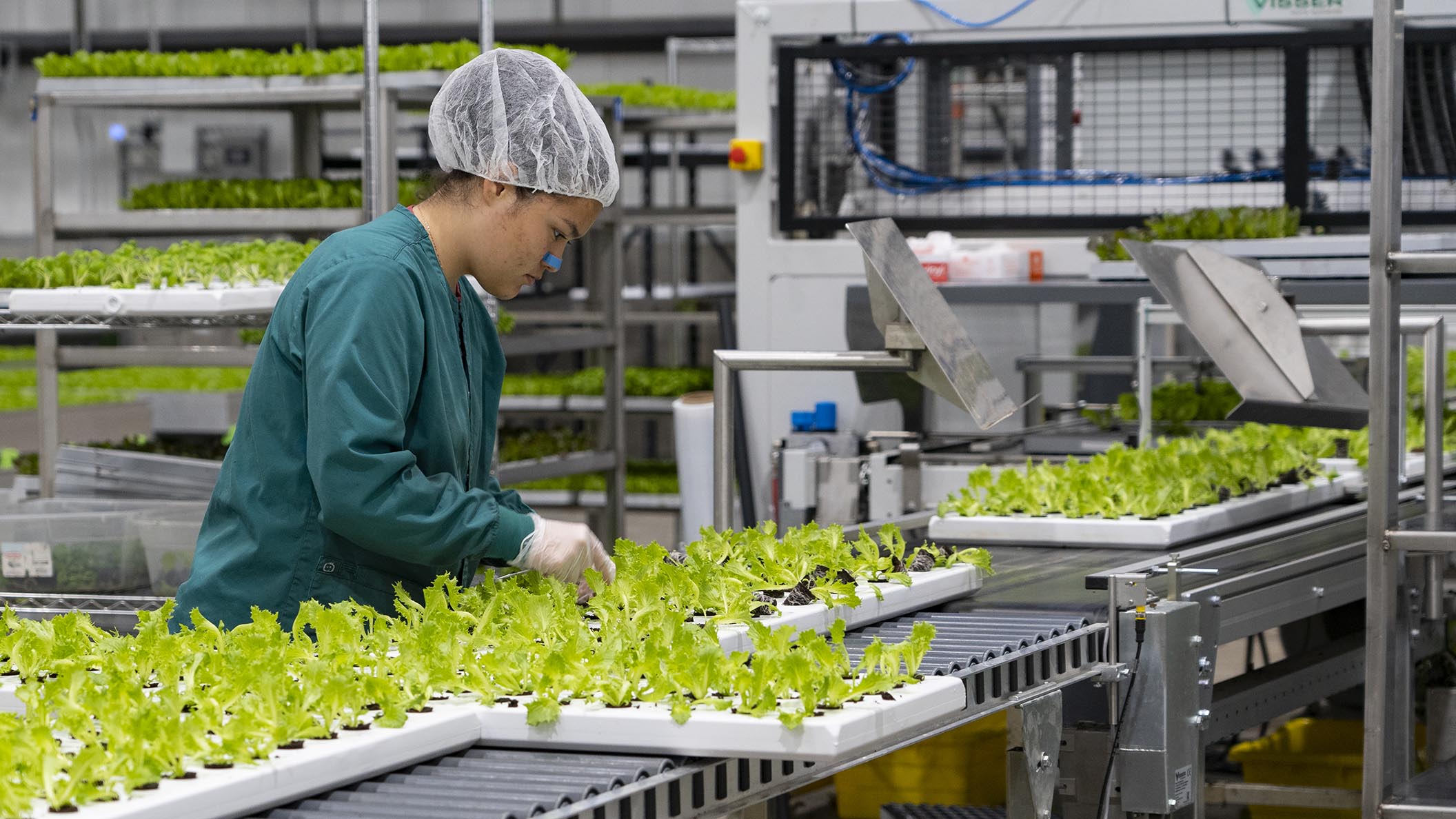 Our Ohio Weekly Controlled Environment Agriculture Ohio Farm Bureau